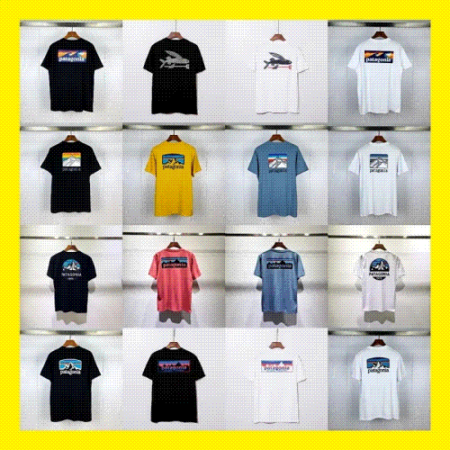 Patagonia — T-shirt